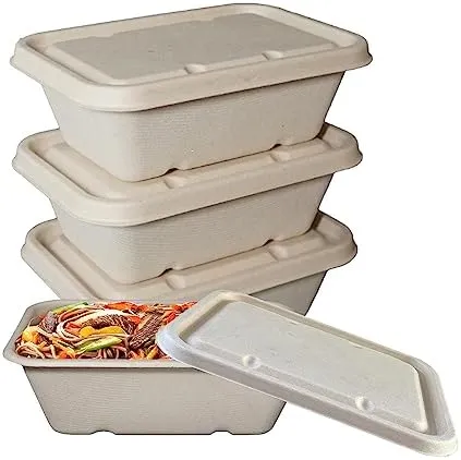 24oz Rectangular Food Container with Lids, Compostable Sugarcane Fiber Biodegradable Eco-Friendly Take Out Containers, Microwave Safe