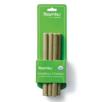 Bamboo Straws with Brush (6pk)