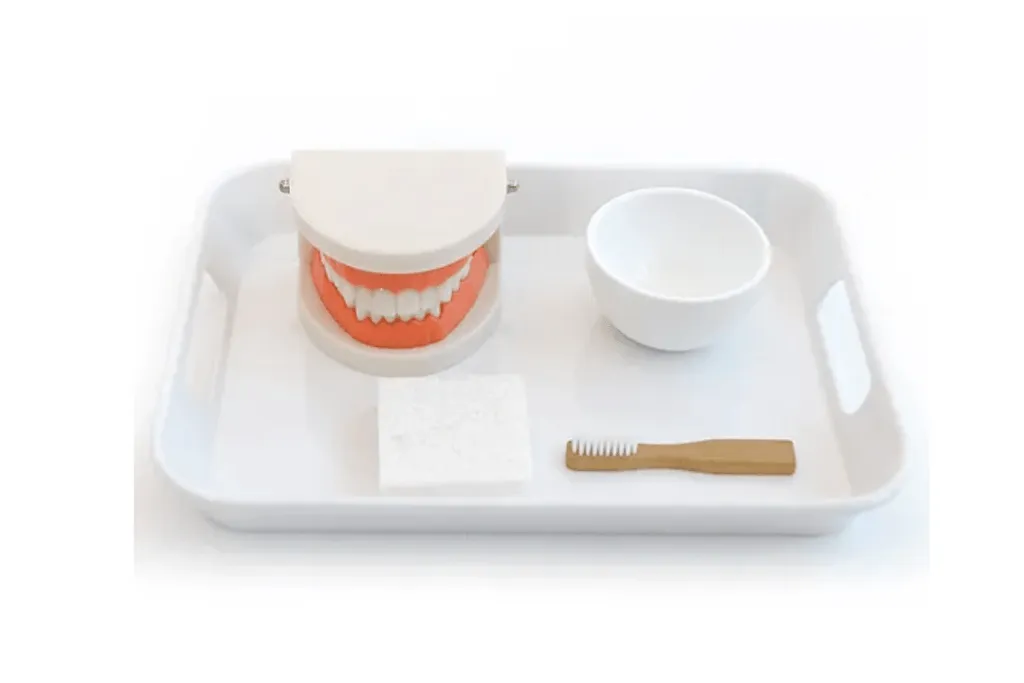 Brushing Teeth Activity Set