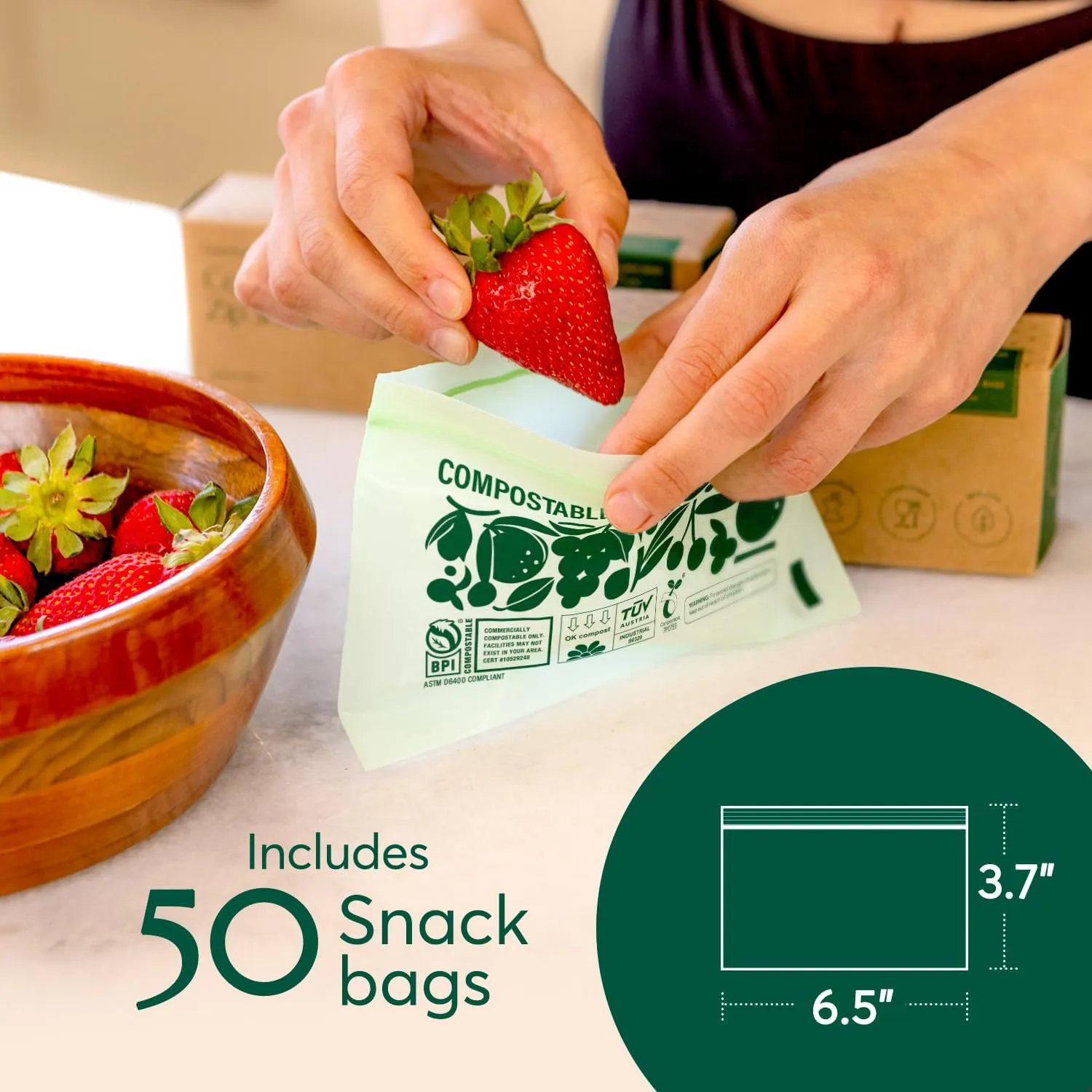 Compostable Food Storage Bag Bundle, Gallon, Quart, Sandwich and Snack Sizes