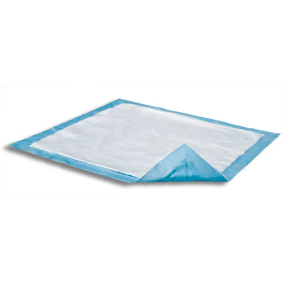 Dri-Sorb UFS-170 Underpads, Bag of 10