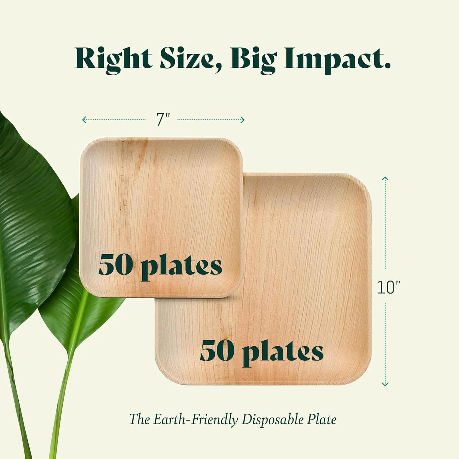 Palm Leaf Disposable Plates - Compostable & Biodegradable