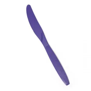 Premierware Full Size Purple Dinner Knives 24ct